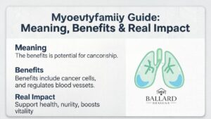 Myoervyfanily Guide: Meaning, Benefits & Real Impact